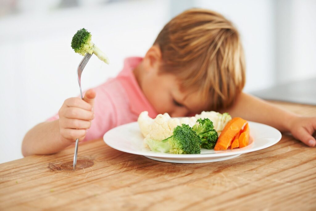 anak susah makan sayur